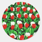 Sticker ラウンドシール (正面)