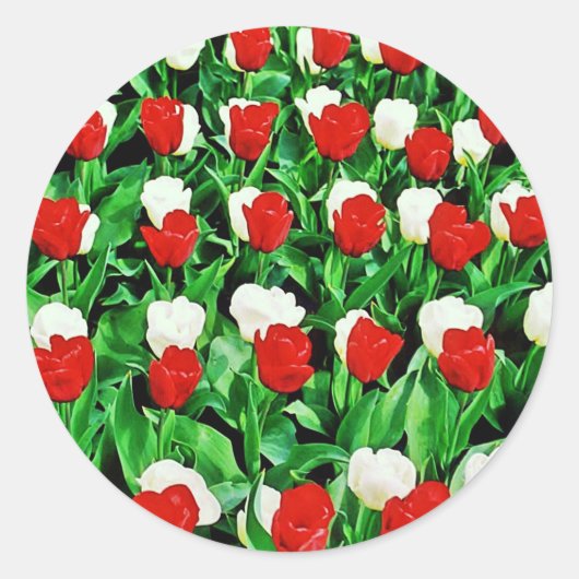 Sticker ラウンドシール (正面)