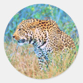 Sticker ラウンドシール (正面)