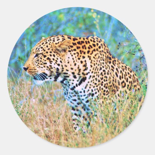 Sticker ラウンドシール (正面)