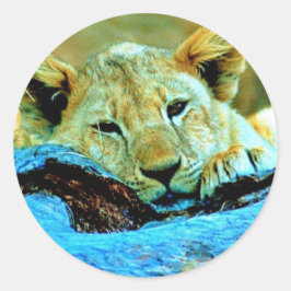 Sticker ラウンドシール