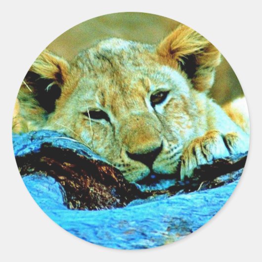 Sticker ラウンドシール (正面)