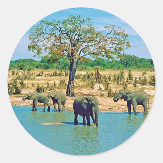 Sticker ラウンドシール (正面)