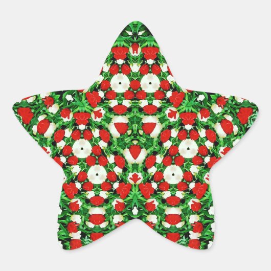 Sticker 星シール (正面)