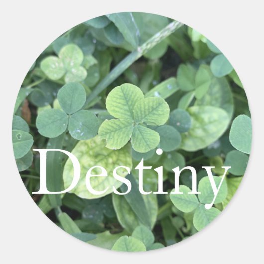 Sticker Destiny  ラウンドシール (正面)