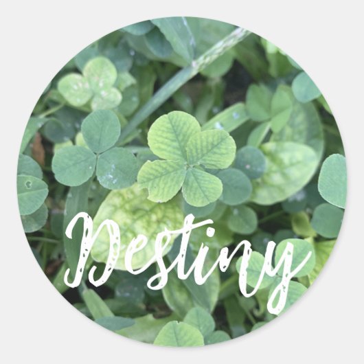 Sticker Destiny  ラウンドシール (正面)