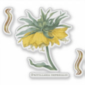 Sticker Fritillaria imperialis  シール (正面)