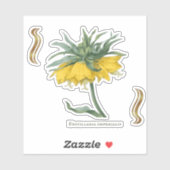 Sticker Fritillaria imperialis  シール (シート)