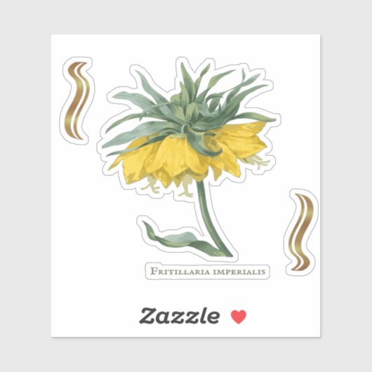 Sticker Fritillaria imperialis  シール (シート)