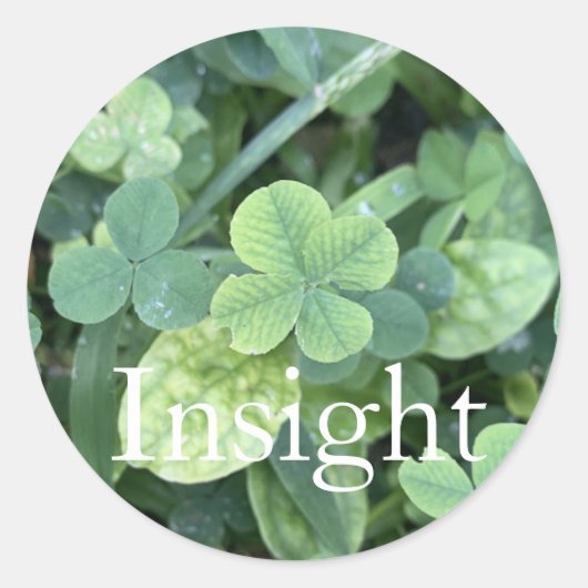 Sticker 'Insight ラウンドシール (正面)