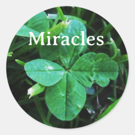 Sticker Mir ラウンドシール