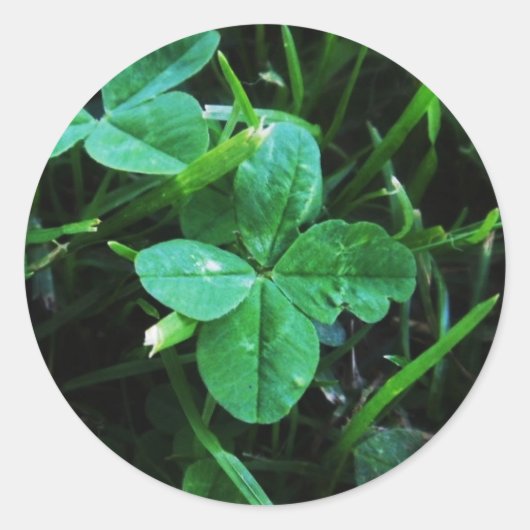 Sticker Porte-bonheur ラウンドシール (正面)