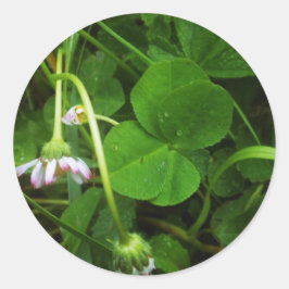 Sticker Porte-bonheur - Lucky Charm ラウンドシール