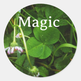 Sticker Porte-bonheur Magic ラウンドシール