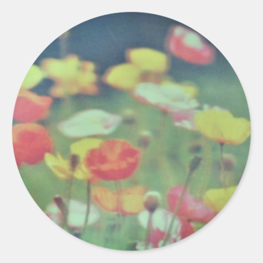 Sticker Roll ラウンドシール (正面)