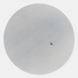 STICKER ROLL  ラウンドシール