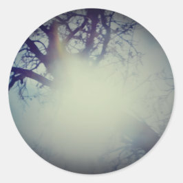 STICKER ROLL  ラウンドシール