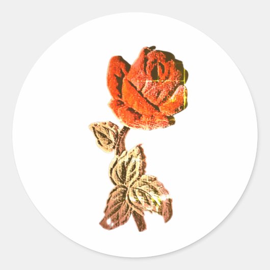 STICKER ROLL  ラウンドシール (正面)