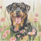 Sticker – Rottweiler Sticker シール (正面)