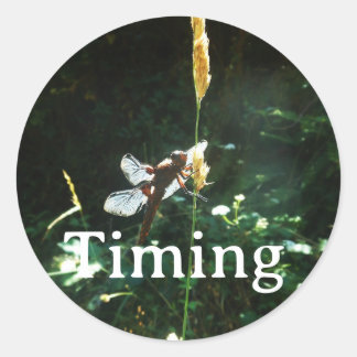Sticker Timing ラウンドシール