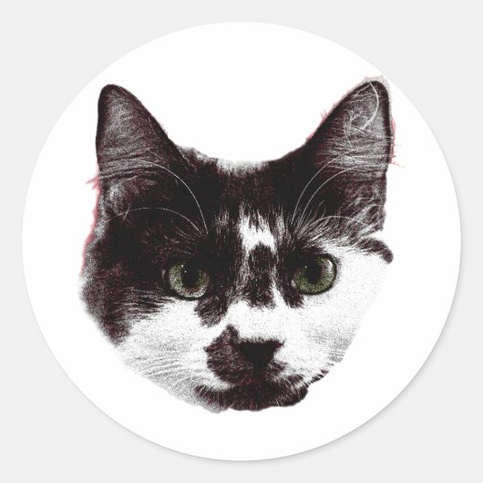 Sticker with a Stare | Ink Style Cat Sticker ラウンドシール (正面)