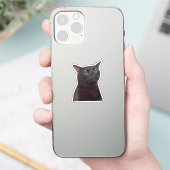 Sticker Zoned Out Cat Meme シール (スマートフォン)