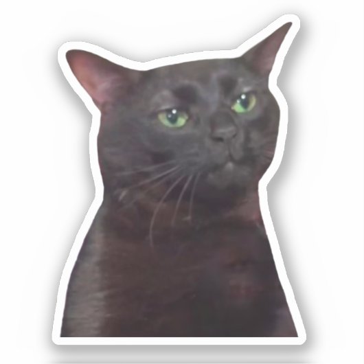 Sticker Zoned Out Cat Meme シール (正面)