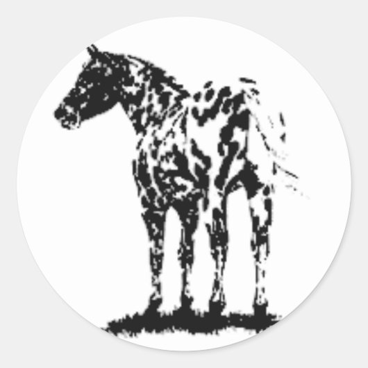 STICKERS- – ヒョウ・アパロサ ラウンドシール (正面)