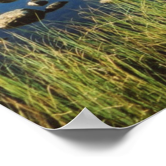 Stickle Tarn夏の反射、レイク地区。 ポスター (角)