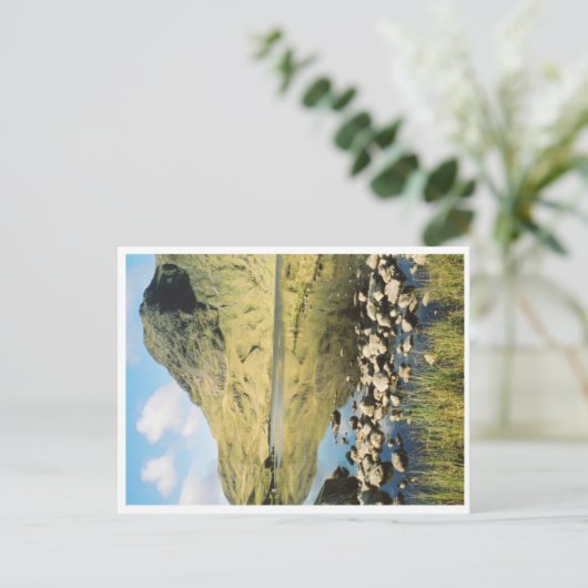 Stickle Tarn夏の反射、レイク地区。 ポストカード (スタンド正面)