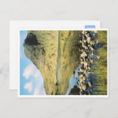 Stickle Tarn夏の反射、レイク地区。 ポストカード (正面/裏面)