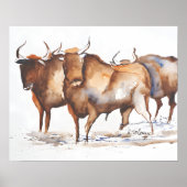 Stieren ポスター (正面)