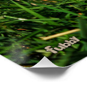 Stijldansende Fubby's in Narcissen jurk. ポスター (コーナー)