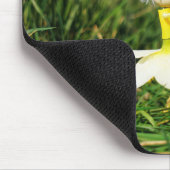 Stijldansende Fubby's in Narcissen jurk. マウスパッド (コーナー)