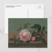 Still Life Flowers on a Ledge by Otto Ottesen ポストカード (正面/裏面)