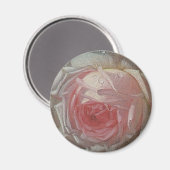 Still Life Flowers on a Ledge by Otto Ottesen マグネット (正面/裏面)