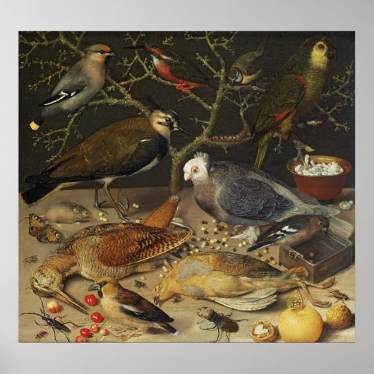 Still Life of Birds and Insects, 1637 ポスター (正面)