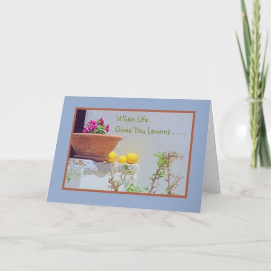 STILL LIFE/PETUNIAS AND LEMONS/WHEN 与え LIFE  YOU カード (正面)