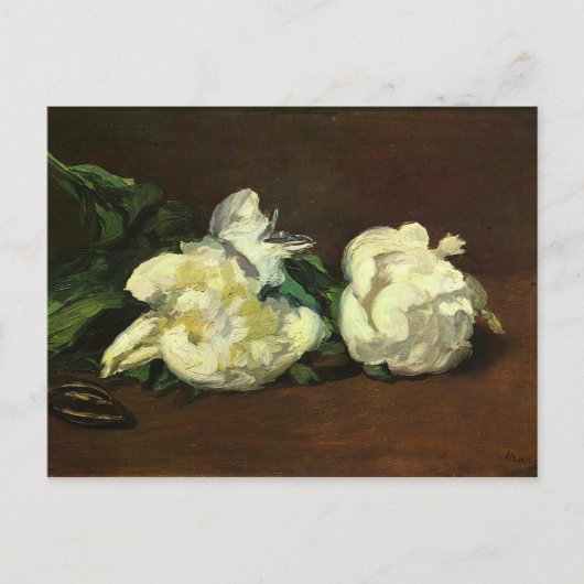 Still life, white peonies - Edouard Manet ポストカード (正面)