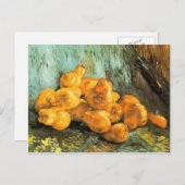 Still Life with Quinces by Vincent Willem vanゴッホ ポストカード (正面/裏面)