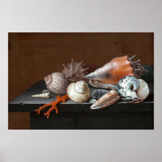Still Life with Shells | Johann Jakob Dietzsch ポスター (正面)