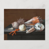 Still Life with Shells | Johann Jakob Dietzsch ポストカード (正面)