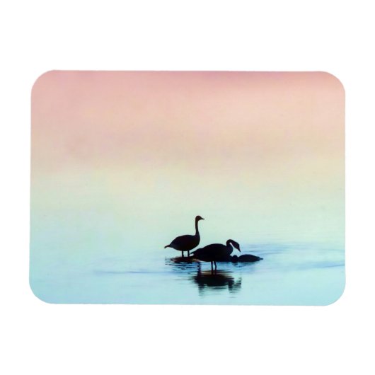 Still Magnet マグネット (横)