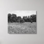 Still Prairie, Cloudy Sky キャンバスプリント (正面)