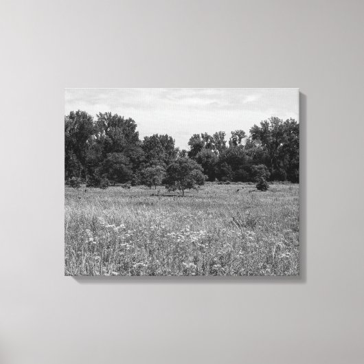 Still Prairie, Cloudy Sky キャンバスプリント (正面)