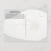 Sting Ray Fossil, Fossil Butte National Monument ポストカード (裏面)