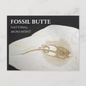 Sting Ray Fossil, Fossil Butte National Monument ポストカード (正面)