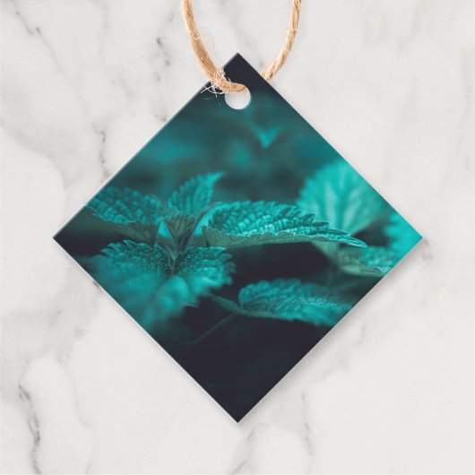 Stinging Nettle自然写真 フェイバータグ (正面)