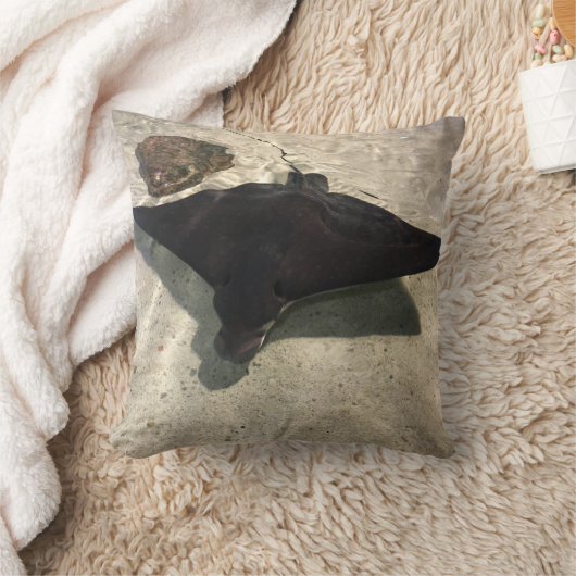 Stingray クッション (ブランケット)