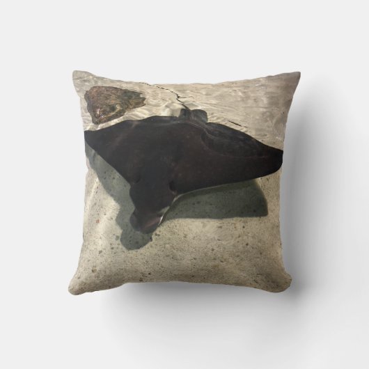 Stingray クッション (裏面)